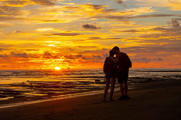 Corcovado and Drake Bay 2-Day Small-Group Safari Guided Tour - Photo 1 of 7